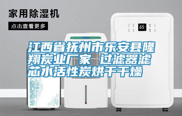 江西省撫州市樂安縣隆翔炭業廠家 過濾器濾芯水活性炭烘干干燥