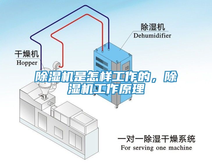 除濕機是怎樣工作的，除濕機工作原理