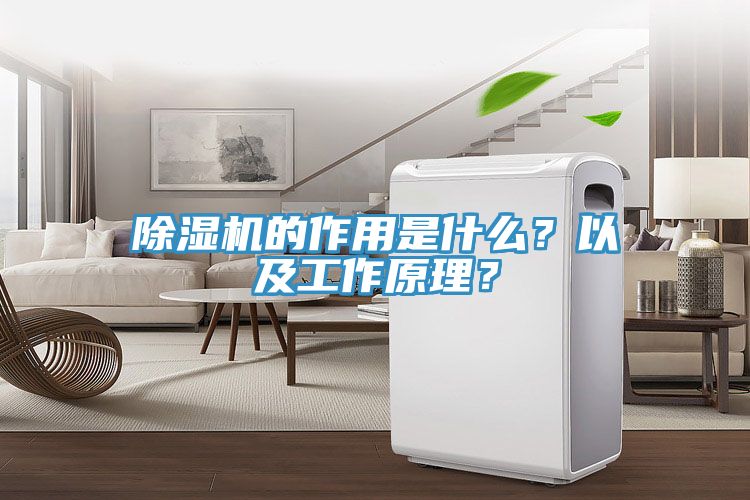 除濕機的作用是什么？以及工作原理？