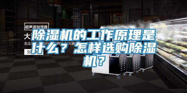 除濕機(jī)的工作原理是什么？怎樣選購除濕機(jī)？